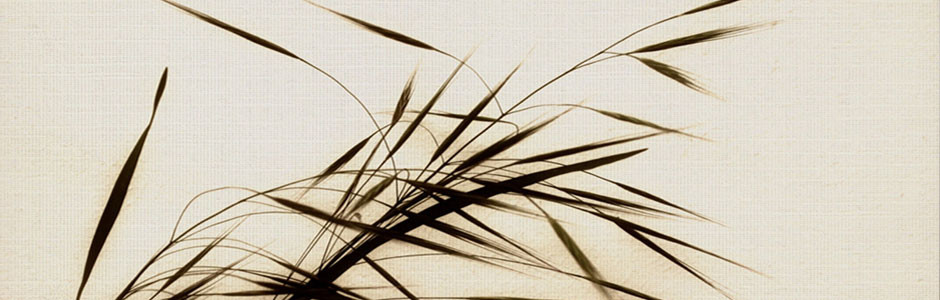 Thérapie bien être et relaxation à Épernay